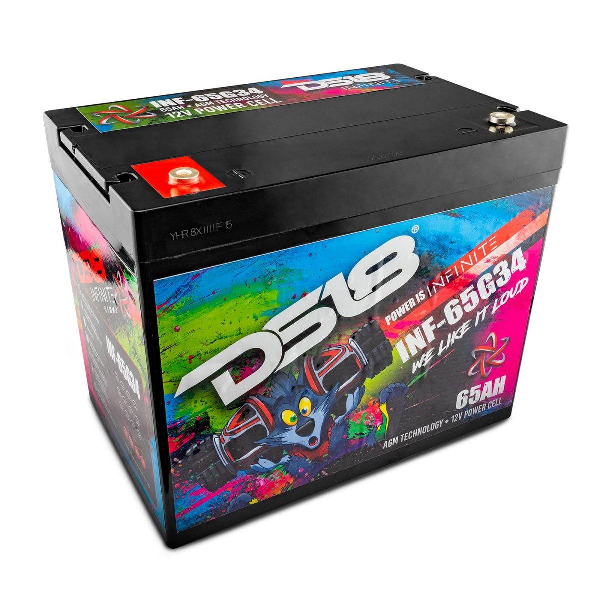 DS18 DS-INF-65G34AH Infinite 65 AH Group 34 Power 12 Volt Battery DS18