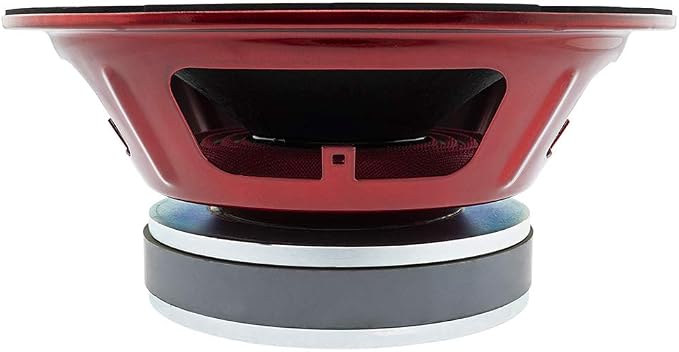 DS18 DS-PRO-X10MBASS PRO-X 10 Inch Mid-Bass Loudspeaker 800 Watts 8-Ohm DS18