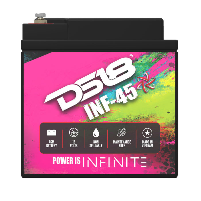 DS18 DS-INF-45 INFINITE 45 AH AGM Power Cell 12 Volt Battery