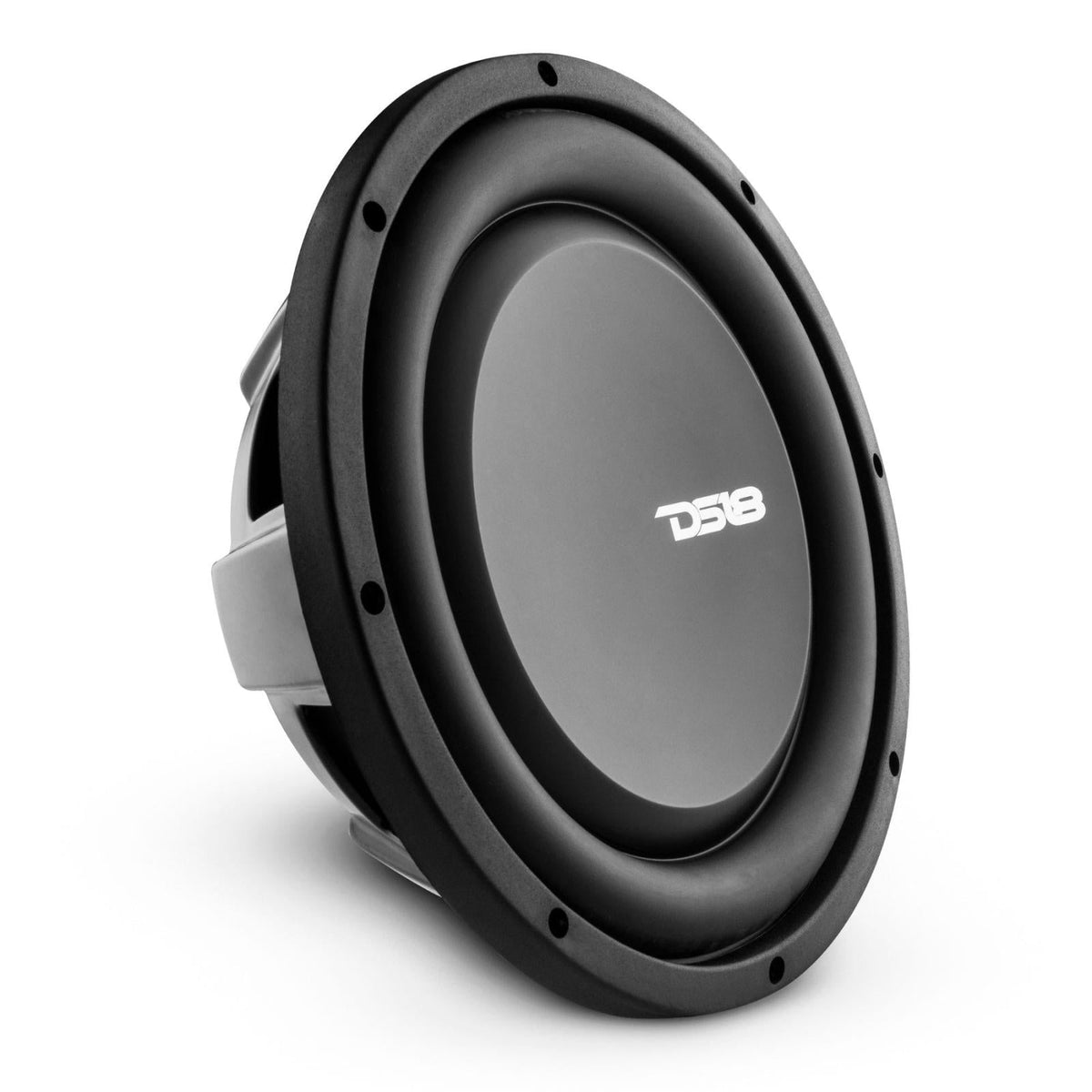 DS18 DS-PSW10.2D PS Shallow Water Resistant 10 Inch Subwoofer 1000 Watts Dvc 2-Ohm (Perfect for Powersports and Motorcycles) DS18