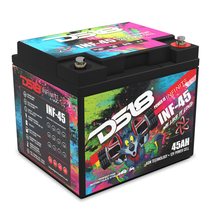 DS18 DS-INF-45 INFINITE 45 AH AGM Power Cell 12 Volt Battery